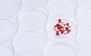 生药学实习报告精选7篇