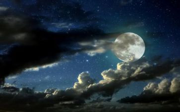 白夜行读后感800字6篇
