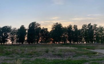 有遗憾的作文通用5篇