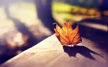 有遗憾的作文推荐6篇