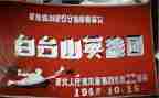 女烈士英雄事迹8篇