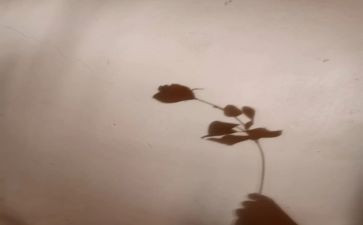 光和影子的作文7篇