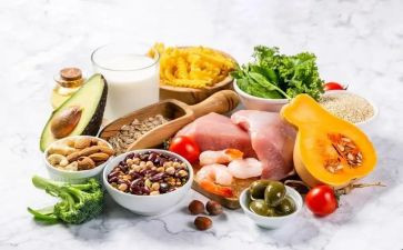 健康饮食教案参考8篇