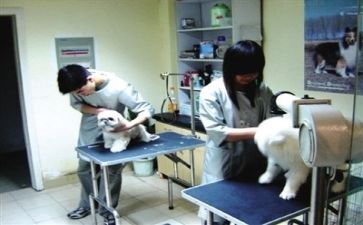年终总结医院2023范文优质8篇