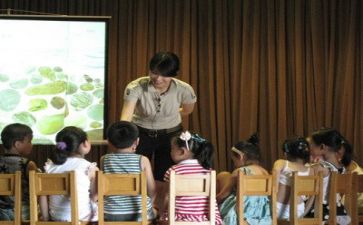 幼师的实习心得总结5篇