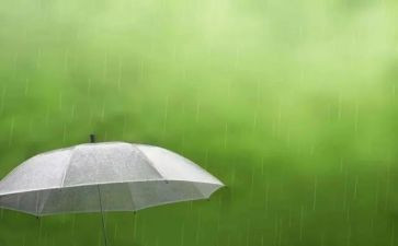 雷雨心得体会8篇