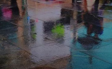 雨来读后感500字5篇
