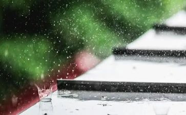 赏雨的作文5篇