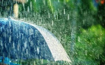 中班语言教案春雨教案6篇