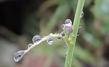 雨来事迹演讲稿6篇