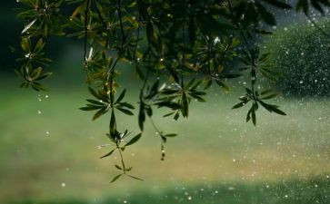小班语言糖果雨教案6篇