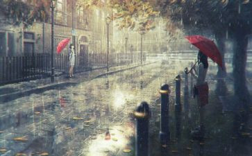 《雨后》读后感5篇