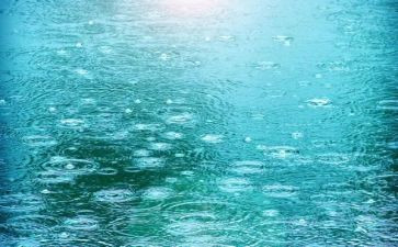 关于春雨的作文优质6篇