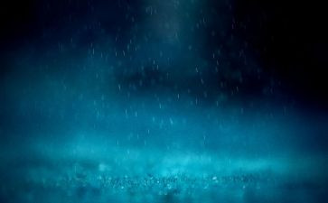 《秋雨》读后感6篇
