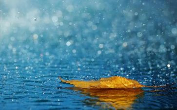 《春雨》读后感6篇