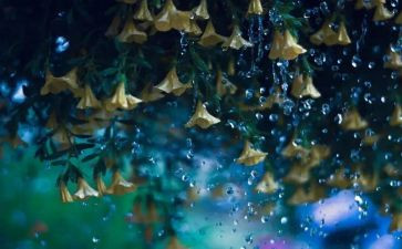 雨来读后感500字优秀7篇