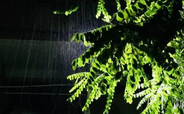 关于春雨的作文精选7篇