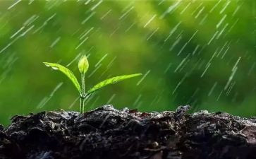 雨高中作文800字推荐7篇