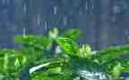 春雨读后感5篇