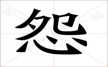 不抱怨作文800字6篇
