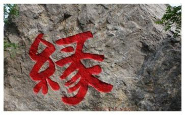 我与__的缘作文精选5篇