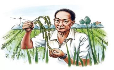 对袁隆平的作文通用7篇