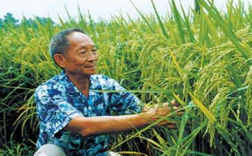 袁隆平的事迹心得体会8篇