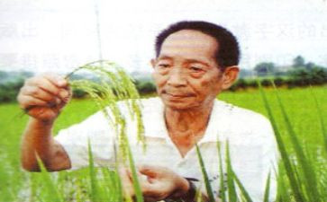 对袁隆平的作文8篇