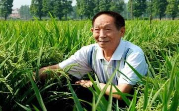 对袁隆平的作文参考6篇