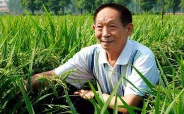 对袁隆平的作文推荐6篇