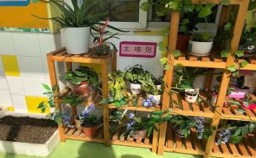 幼儿园培训心得体会范文优秀6篇