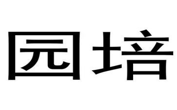幼儿园培训心得体会总结8篇
