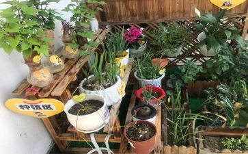 去幼儿园培训心得体会优秀7篇