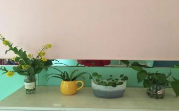 幼儿园培训心得体会范文5篇