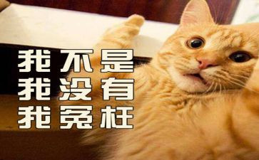 写冤枉的作文6篇