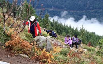 远足感悟作文模板5篇