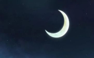 六便士和月亮读后感通用8篇