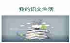 语文老师学习心得体会5篇