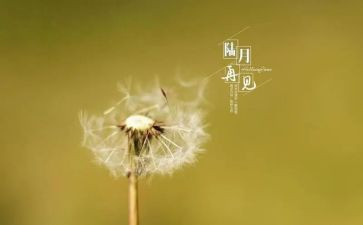 老师再见作文7篇