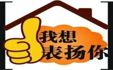 赞扬的作文5篇