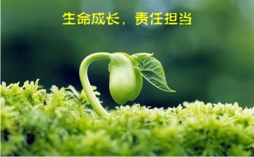 责任感演讲稿6篇