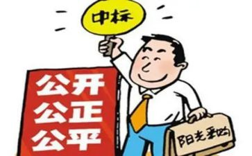 年度招标工作总结6篇