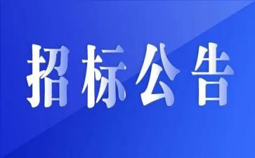 招标代理工作年度总结6篇