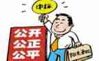 年度招标工作总结6篇