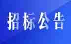 招标代理工作年度总结6篇