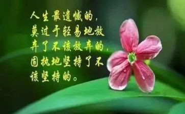 哲理诗作文7篇