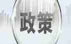 双减政策的教师心得体会模板6篇