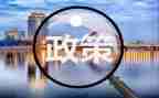 2024双减政策教师心得体会5篇