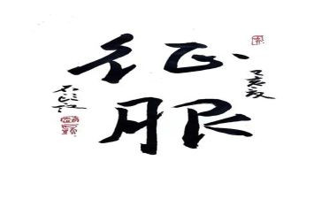 征服作文400字7篇