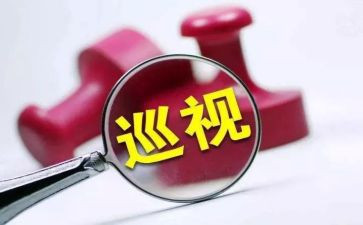 书记整改报告5篇